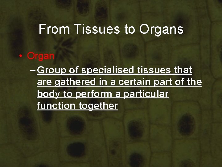 From Tissues to Organs • Organ – Group of specialised tissues that are gathered From Tissues to Organs • Organ – Group of specialised tissues that are gathered