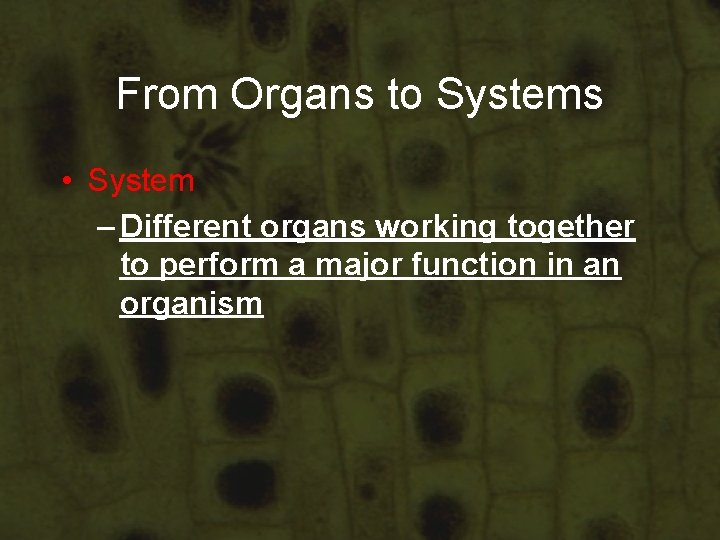 From Organs to Systems • System – Different organs working together to perform a From Organs to Systems • System – Different organs working together to perform a