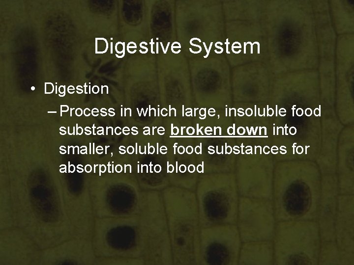 Digestive System • Digestion – Process in which large, insoluble food substances are broken Digestive System • Digestion – Process in which large, insoluble food substances are broken