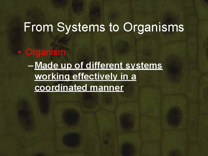 From Systems to Organisms • Organism – Made up of different systems working effectively From Systems to Organisms • Organism – Made up of different systems working effectively