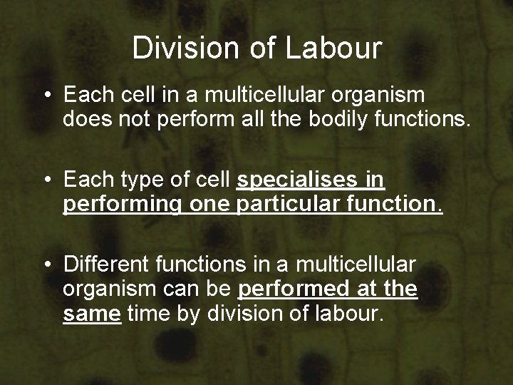 Division of Labour • Each cell in a multicellular organism does not perform all Division of Labour • Each cell in a multicellular organism does not perform all