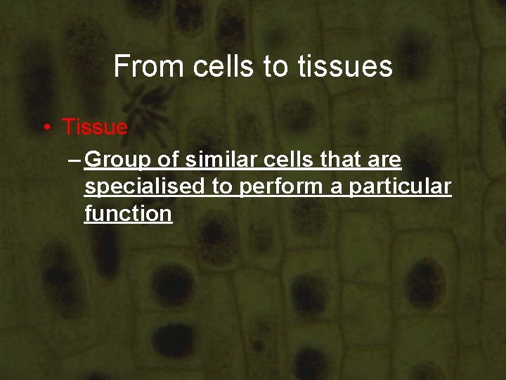 From cells to tissues • Tissue – Group of similar cells that are specialised From cells to tissues • Tissue – Group of similar cells that are specialised