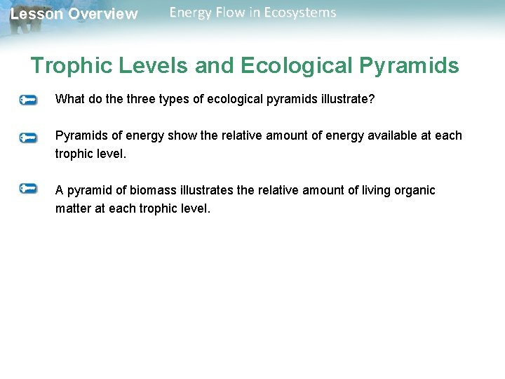 Lesson Overview Energy Flow in Ecosystems Trophic Levels and Ecological Pyramids What do the