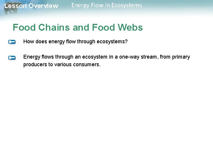 Lesson Overview Energy Flow in Ecosystems Food Chains and Food Webs How does energy