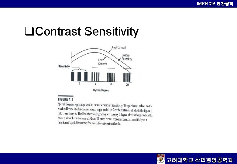 IMEN 315 인간공학 Contrast Sensitivity 고려대학교 산업경영공학과 