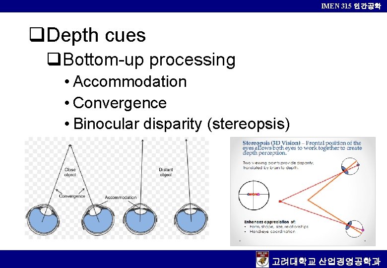 IMEN 315 인간공학 Depth cues Bottom-up processing • Accommodation • Convergence • Binocular disparity