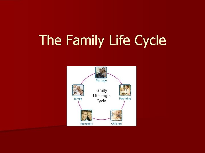 The Family Life Cycle 