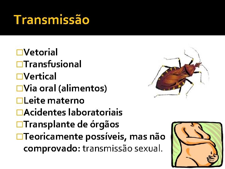 Transmissão �Vetorial �Transfusional �Vertical �Via oral (alimentos) �Leite materno �Acidentes laboratoriais �Transplante de órgãos