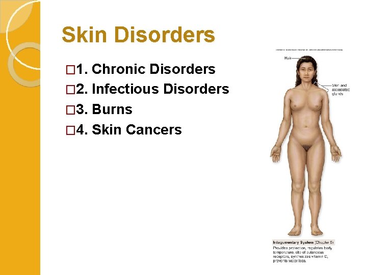 Skin Disorders � 1. Chronic Disorders � 2. Infectious Disorders � 3. Burns �