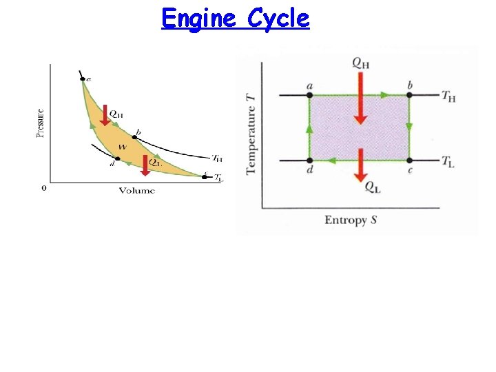 Engine Cycle 
