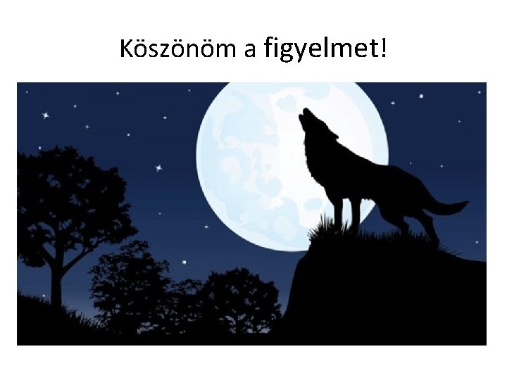 Köszönöm a figyelmet! 