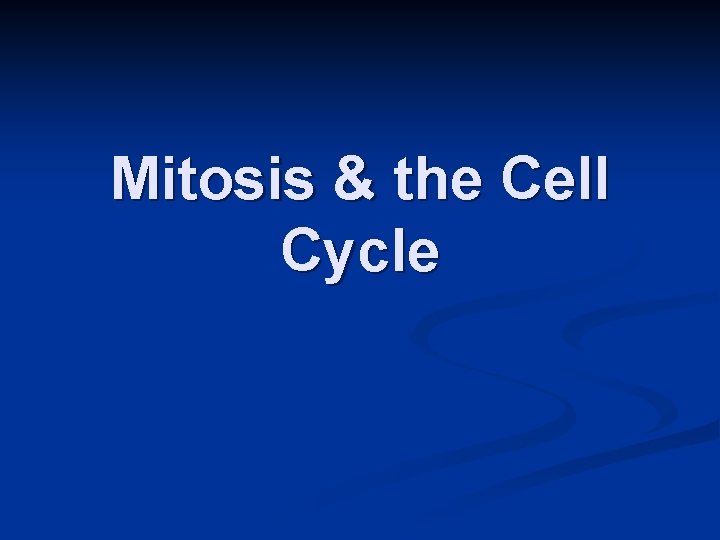 Mitosis & the Cell Cycle 