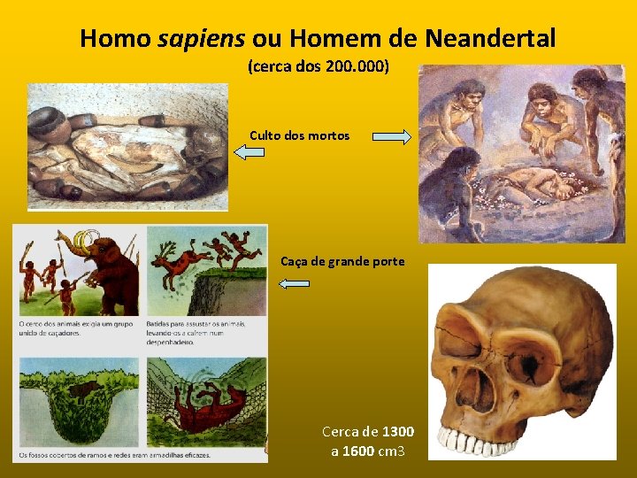 Homo sapiens ou Homem de Neandertal (cerca dos 200. 000) Culto dos mortos Caça