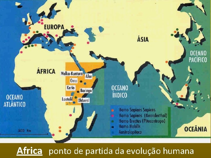 Africa ponto de partida da evolução humana 