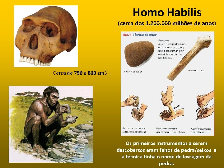 Homo Habilis (cerca dos 1. 200. 000 milhões de anos) Cerca de 750 a
