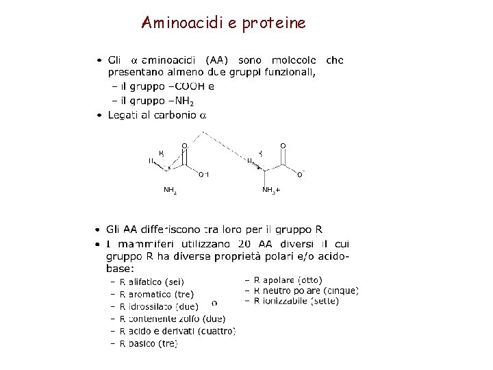 Aminoacidi e proteine 