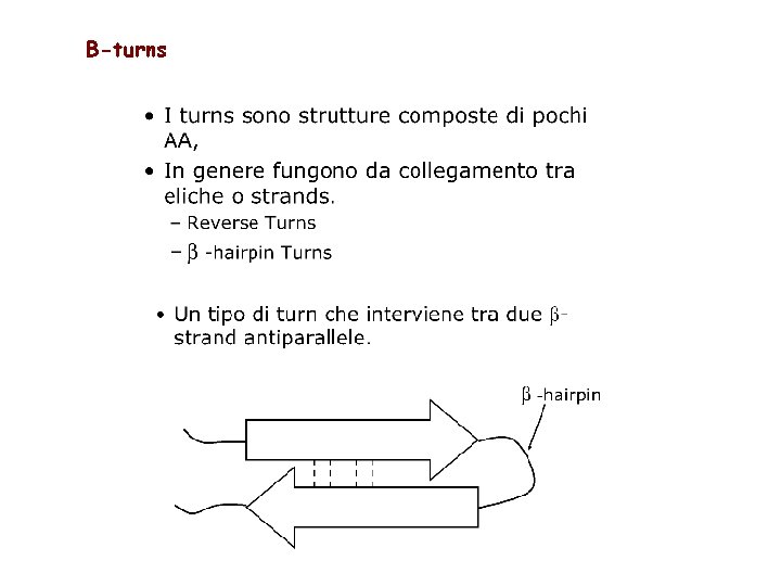 Β-turns 