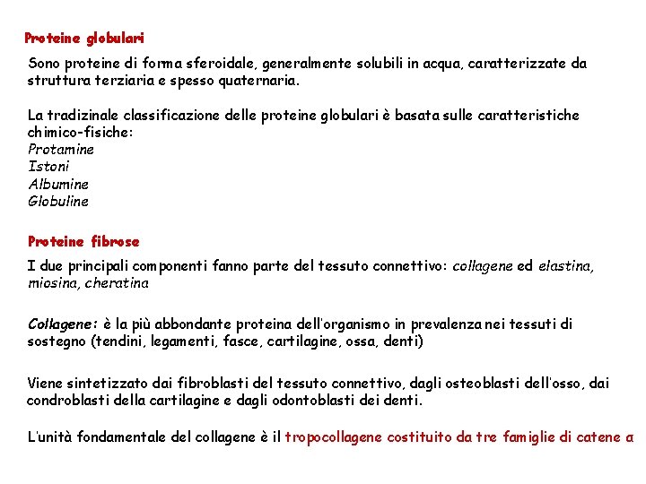 Proteine globulari Sono proteine di forma sferoidale, generalmente solubili in acqua, caratterizzate da struttura