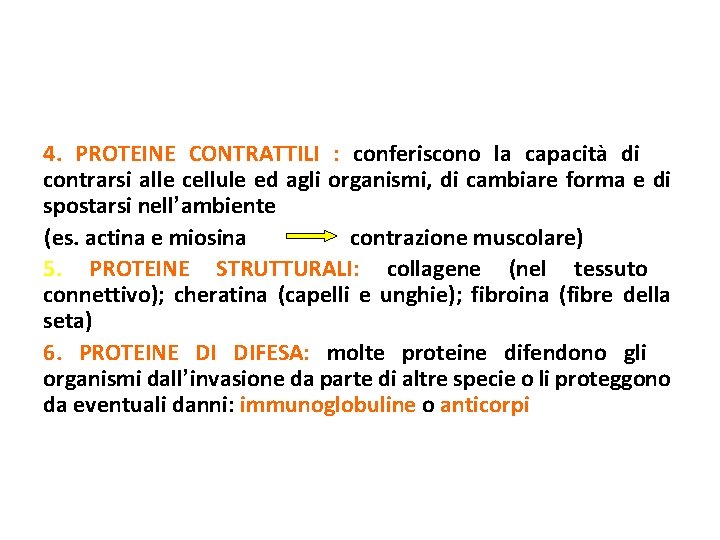 4. PROTEINE CONTRATTILI : conferiscono la capacità di contrarsi alle cellule ed agli organismi,