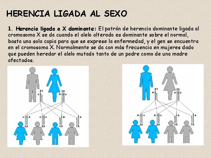 HERENCIA LIGADA AL SEXO 1. Herencia ligada a X dominante: El patrón de herencia