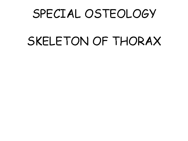 SPECIAL OSTEOLOGY SKELETON OF THORAX 