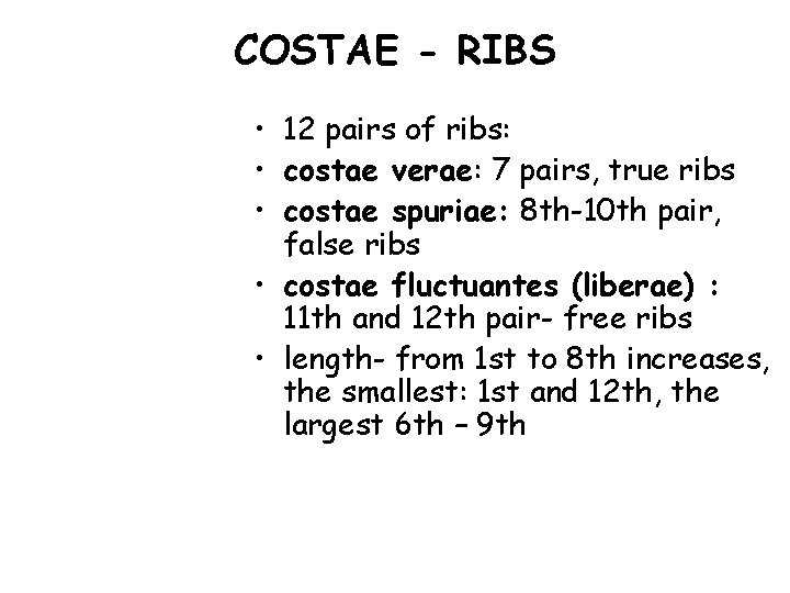 COSTAE - RIBS • 12 pairs of ribs: • costae verae: 7 pairs, true