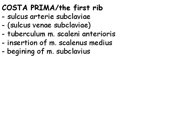 COSTA PRIMA/the first rib - sulcus arterie subclaviae - (sulcus venae subclaviae) - tuberculum