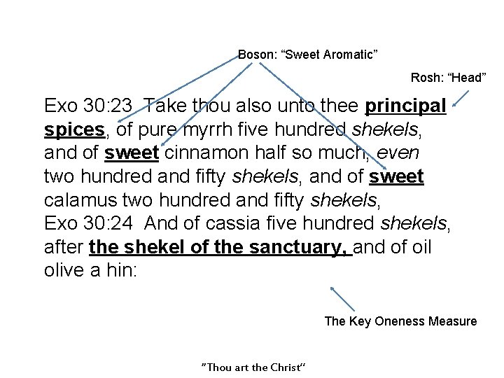 Boson: “Sweet Aromatic” Rosh: “Head” Exo 30: 23 Take thou also unto thee principal