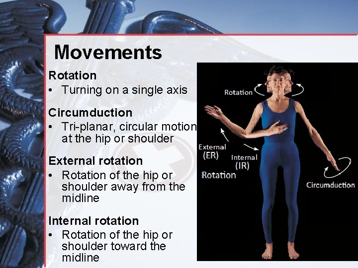 Movements Rotation • Turning on a single axis Circumduction • Tri-planar, circular motion at