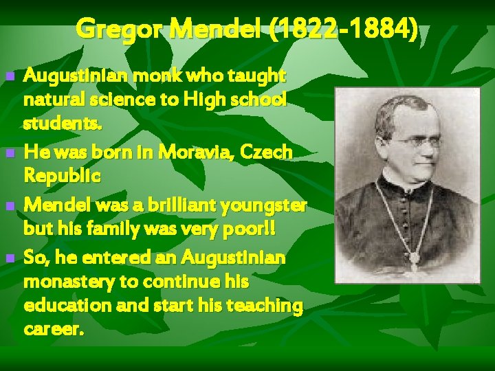 Gregor Mendel (1822 -1884) n n Augustinian monk who taught natural science to High