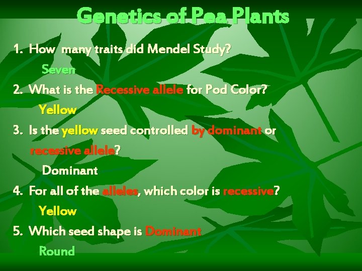 Genetics of Pea Plants 1. How many traits did Mendel Study? Seven 2. What