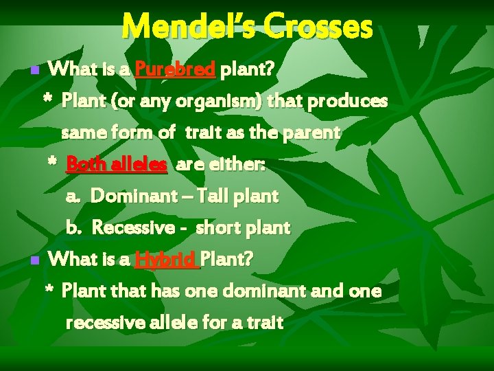 Mendel’s Crosses What is a Purebred plant? * Plant (or any organism) that produces