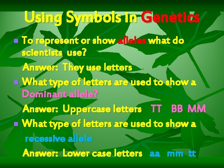 Using Symbols in Genetics To represent or show alleles what do scientists use? Answer: