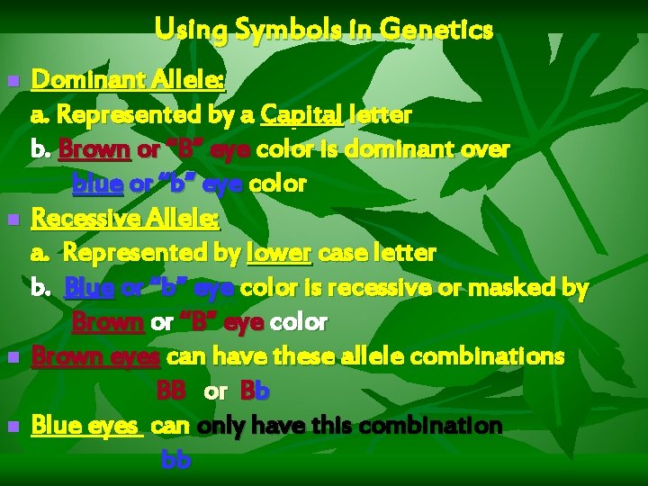 Using Symbols in Genetics n n Dominant Allele: a. Represented by a Capital letter