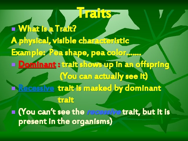 Traits What is a Trait? A physical, visible characteristic Example: Pea shape, pea color…….