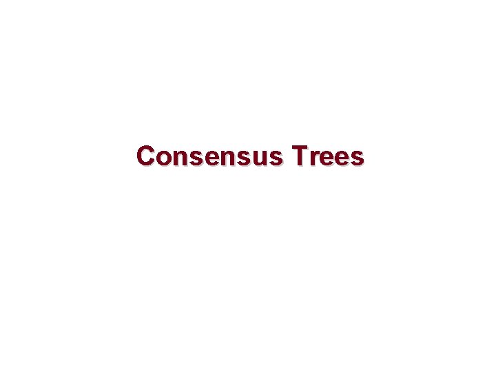 Consensus Trees 