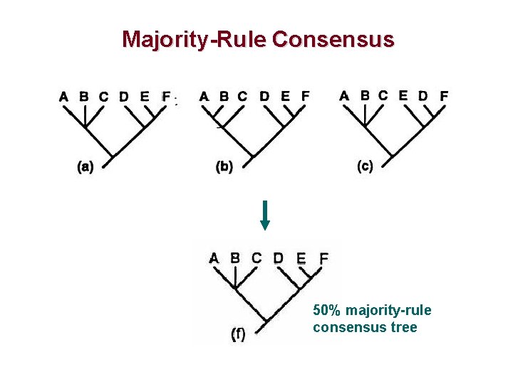 Majority-Rule Consensus 50% majority-rule consensus tree 