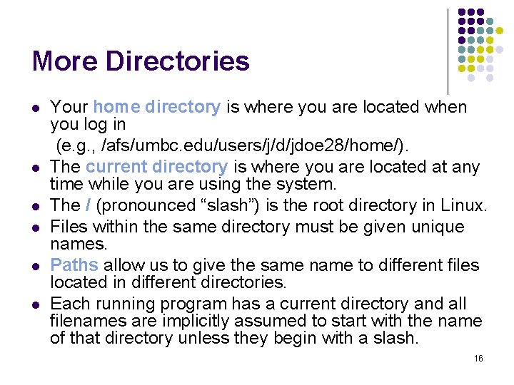 More Directories l l l Your home directory is where you are located when