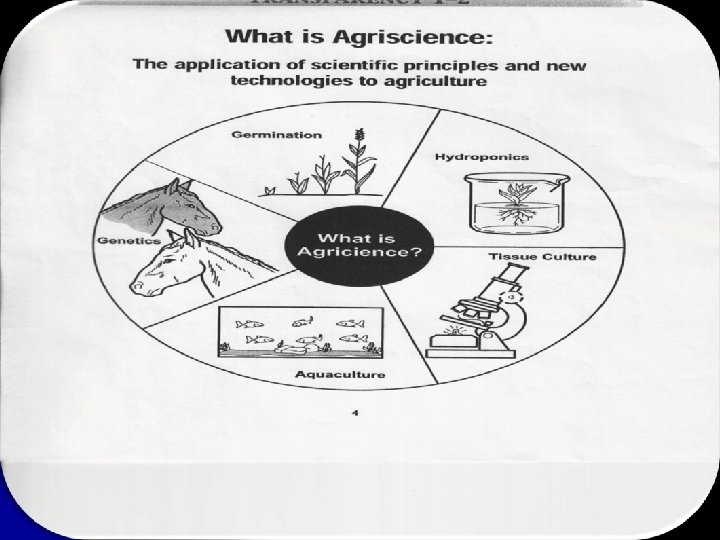 Basics of Agriculture Part 1 Objective l Understand