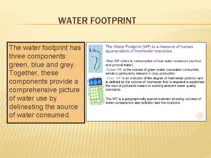 WATER FOOTPRINT The water footprint has three components: green, blue and grey. Together, these