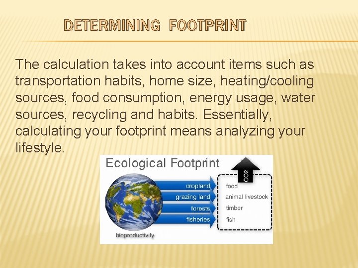 DETERMINING FOOTPRINT The calculation takes into account items such as transportation habits, home size,