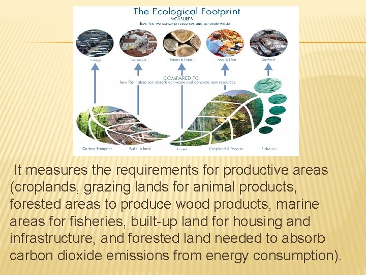 It measures the requirements for productive areas (croplands, grazing lands for animal products, forested