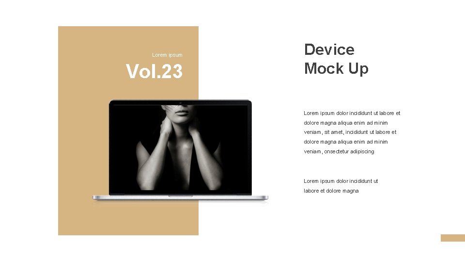 Lorem ipsum Vol. 23 Device Mock Up Lorem ipsum dolor incididunt ut labore et