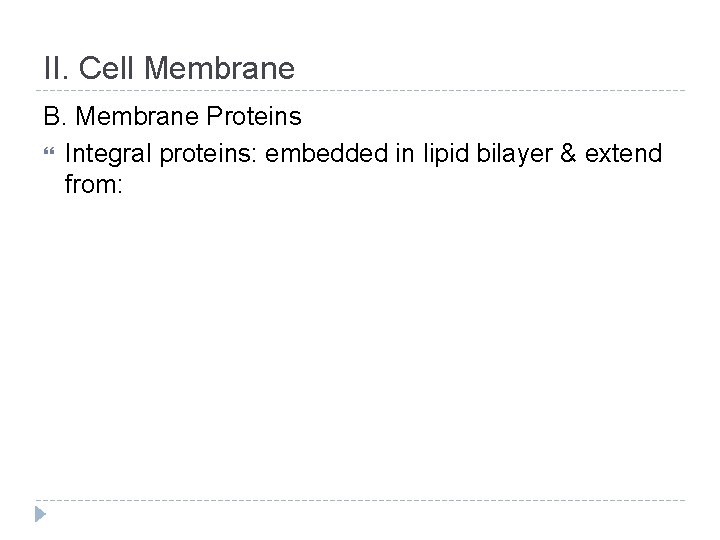 II. Cell Membrane B. Membrane Proteins Integral proteins: embedded in lipid bilayer & extend
