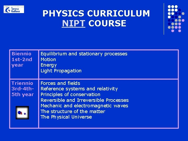 PHYSICS CURRICULUM NIPT COURSE Biennio 1 st-2 nd year Equilibrium and stationary processes Motion