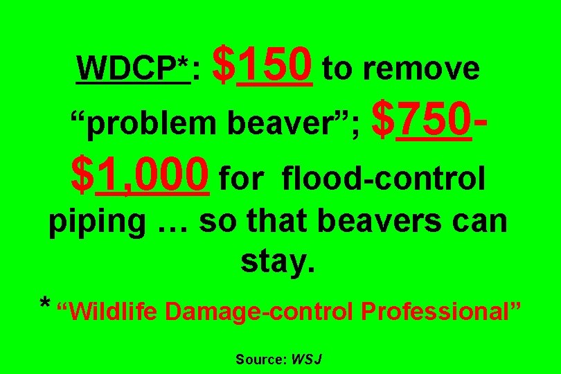 WDCP*: $150 to remove “problem beaver”; $750 - $1, 000 for flood-control piping …