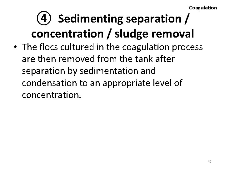 Coagulation ④ Sedimenting separation / concentration / sludge removal • The flocs cultured in