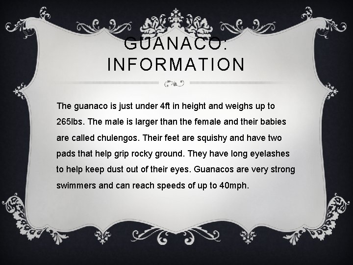 GUANACO: INFORMATION The guanaco is just under 4 ft in height and weighs up