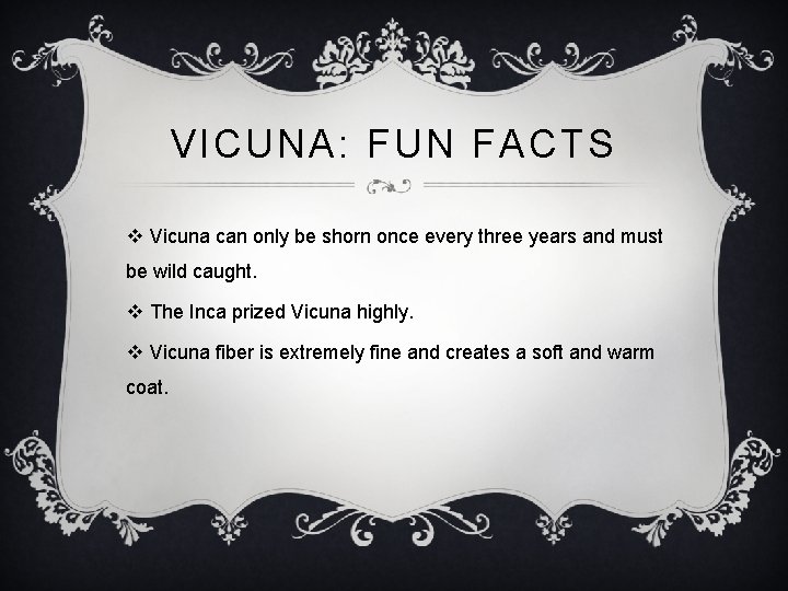VICUNA: FUN FACTS v Vicuna can only be shorn once every three years and