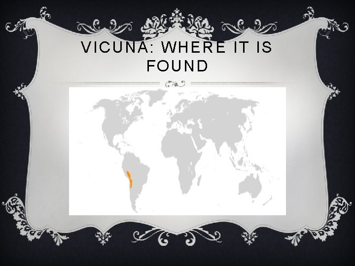 VICUNA: WHERE IT IS FOUND 